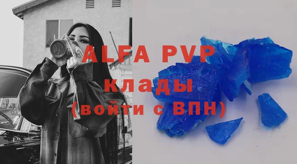 шишки Баксан
