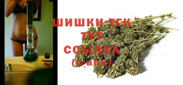 шишки Баксан