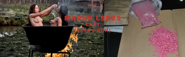 spice Лагань