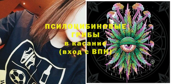 шишки Баксан