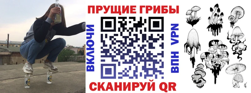 Галлюциногенные грибы GOLDEN TEACHER  Краснозаводск 